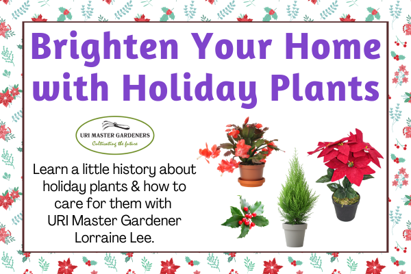 brighten your home with holiday plants, december 7th at 6:30 PM