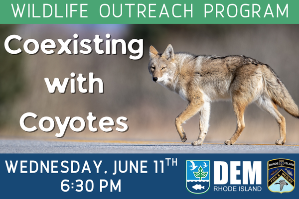wildlife outreach program; coexisting with coyotes; wednesday, june 11th at 6:30 PM